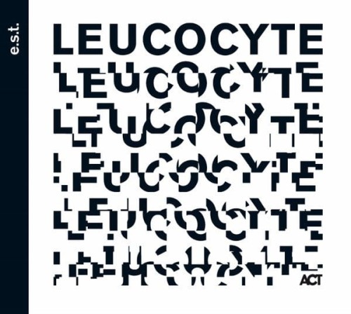 leucocyte.jpg