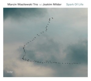 WASILEWSKI, MARCIN TRIO - SPARK OF LIFE