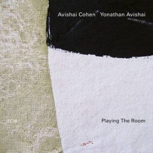 COHEN, AVISHAI - PLAYING THE ROOM