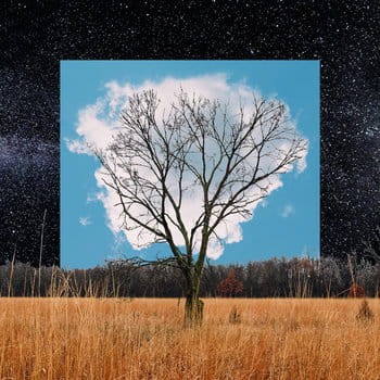 bloom-innocent-w-iext55251132.jpg