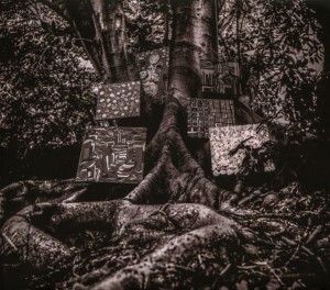 WASHINGTON, KAMASI - HARMONY OF DIFFERENCE