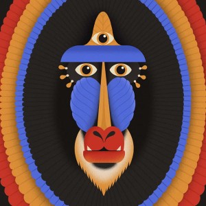 JAVVA - BALANCE OF DECAY