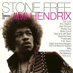 VARIOUS - STONE FREE: JIMI HENDRIX TRIBUTE (RSD)