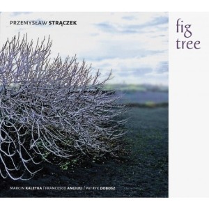 STRĄCZEK, PRZEMYSŁAW - FIG TREE