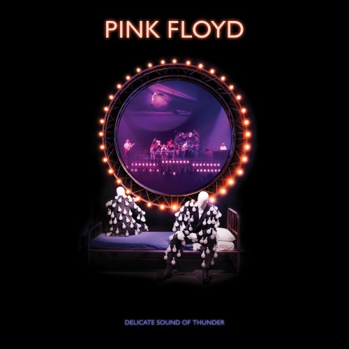 PINK FLOYD - Delicate Sound of Thunder (0190295215941).jpg