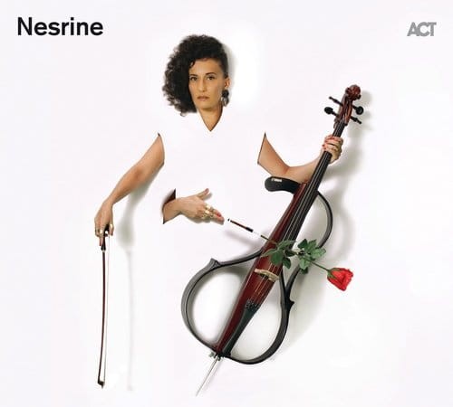 Nesrine_teaser_550x.jpg