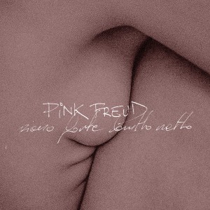 PINK FREUD  - PIANO FORTE BRUTTO NETTO