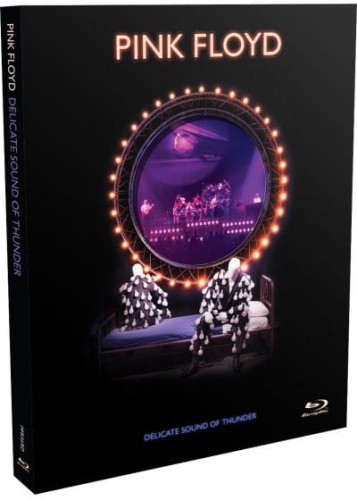 3d-pink_floyd_delicate_sound_of_thunder_limite_br.0.jpg