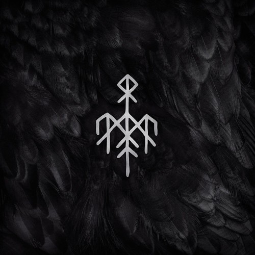 kvitravn-b-iext66593203.jpg