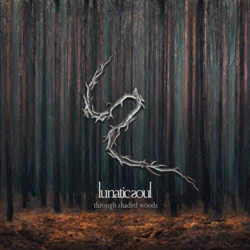 dffe-through-shaded-woods-cd.jpg