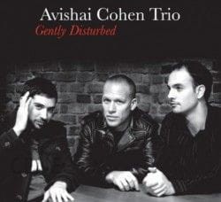 COHEN, AVISHAI TRIO - GENTLY DISTURBED