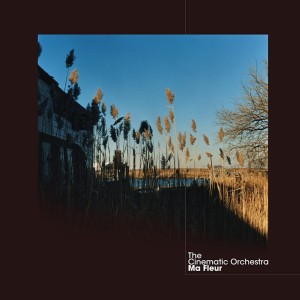 CINEMATIC ORCHESTRA, THE - MA FLEUR (CLEAR VINYL)