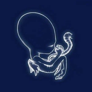 SIGUR ROS - AGAETIN BYRJUN