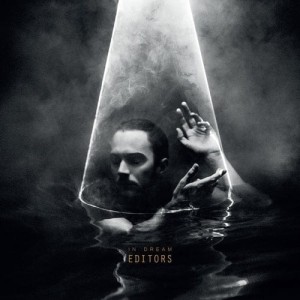 EDITORS - IN DREAM (CLEAR VINYL)