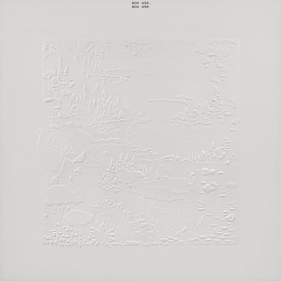 BON IVER BON IVER 10TH ANNIVERSARY EDITION39.jpg