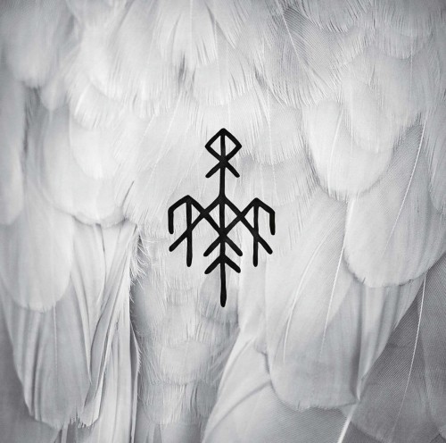 kvitravn.jpg