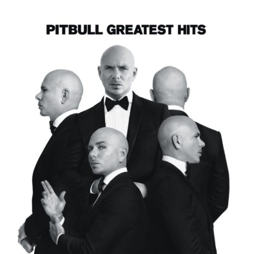 Pitbull.jpg