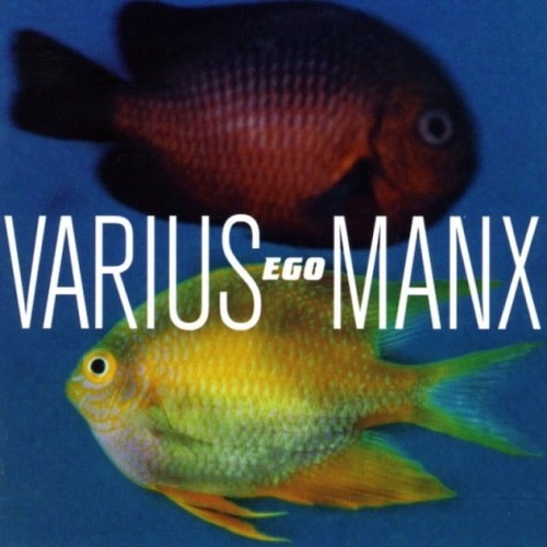VariusManxEgo.jpg