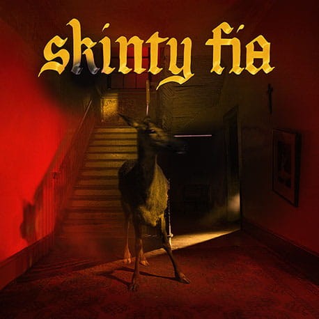 FONTAINES-D.C.-SKINTY-FIA.jpg