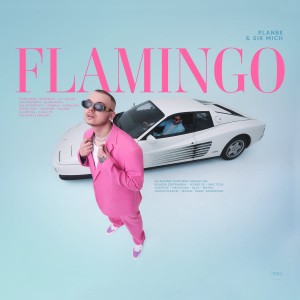 PLANBE & SIR MICH - FLAMINGO