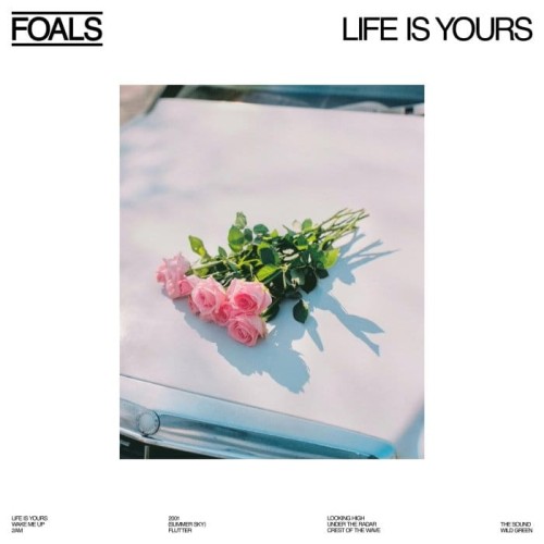 FoalsLifeIsYours.jpg