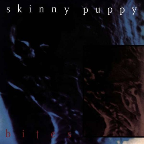 SkinnyBites.jpg