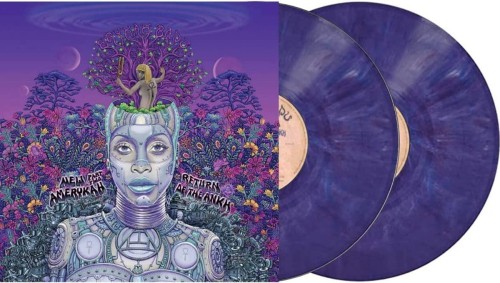 badu_erykah_america_2.jpg