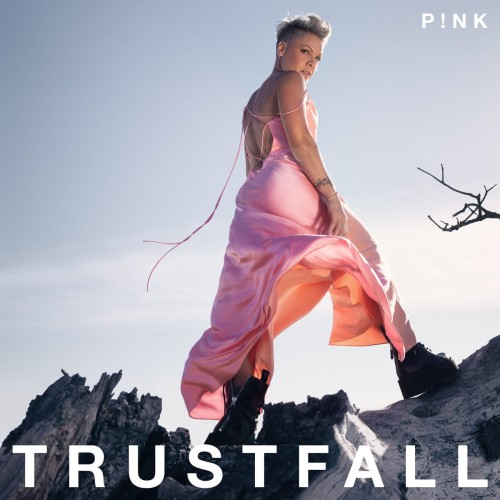 trustfall-b-iext122127584.jpg