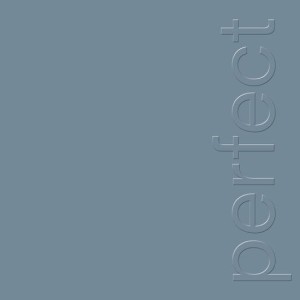 NEW ORDER - THE PERFECT KISS