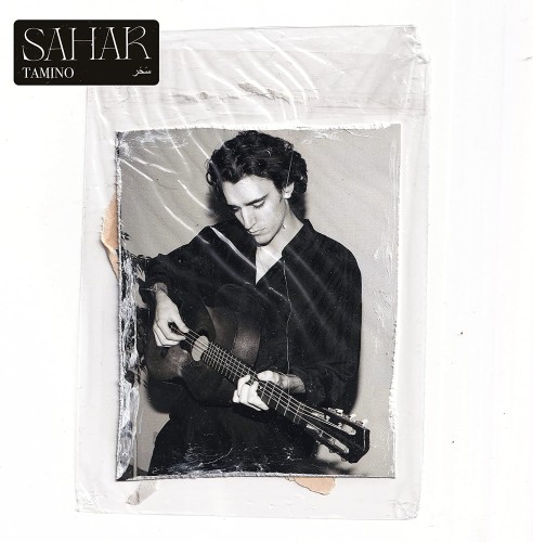 sahar_tamino.jpg