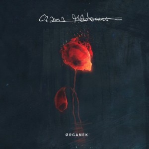 ORGANEK - CZARNA MADONNA (TRANSPARENT/ORANGE VINYL)