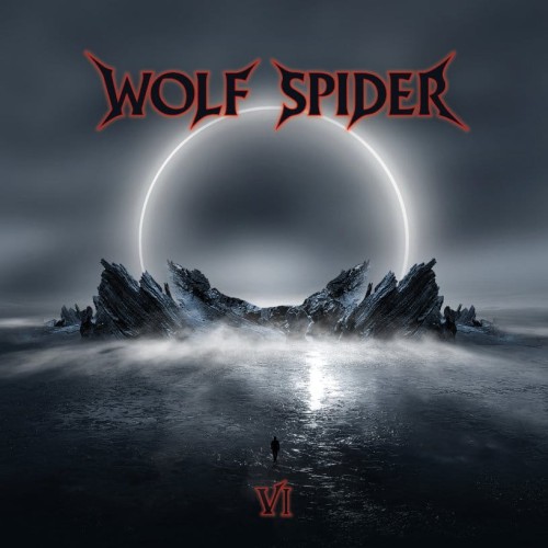 wolf-spider-vi.jpg