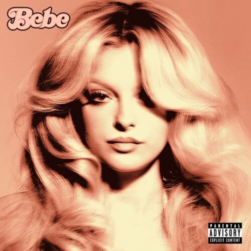 s-l500.jpg