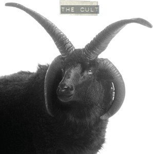 CULT, THE - THE CULT