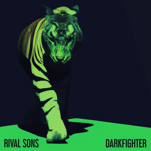 rs_tiger_SQUARE_finalart.jpg