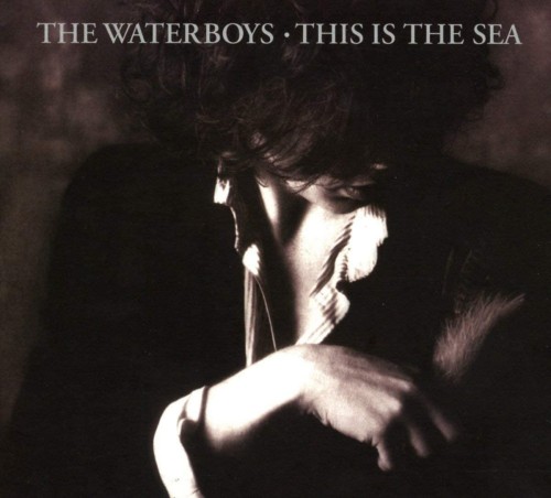 waterboys_this_is_the_sea.jpg