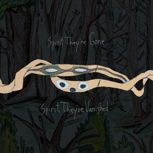 Animal Collective_Spirit They're Gone_Spirit They've Vanished_2.jpg