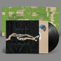 Animal Collective_Spirit They're Gone_Spirit They've Vanished_2LP.jpg