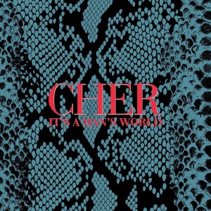 CHER - IT'S A MAN'S WORLD