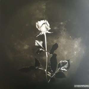 TRKPROJECT ( THE RYSZARD KRAMARSKI PROJECT )  - THE LITTLE PRINCE