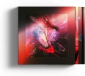The Rolling Stones_Hackney Diamonds (Limited Edition) (Lenticular Cover).jpg