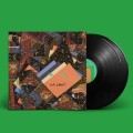 Animal Collective_Isnt It Now_2lp.jpg