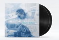 Joe Bonamassa_Blues Deluxe (remastered) (180g)_3.jpg