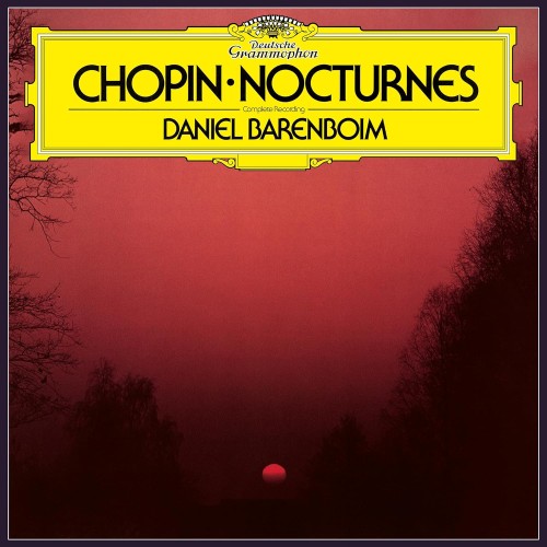 Frederic Chopin_Nocturnes Nr.1-21 (180g).jpg