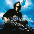 The Waterboys_A Rock In The Weary Land (180g) (Limited Expanded Edition) (Sky Blue Vinyl).jpg