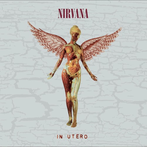 Nirvana_In Utero (30th Anniversary) (remastered) (Deluxe Edition)_2.jpg