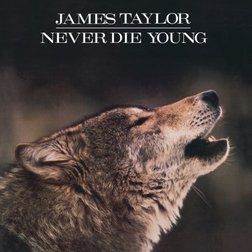 James Taylor_Never Die Young (180g) (Limited Numbered Edition) (White & Black Marbled Vinyl).jpg