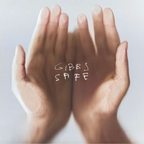 gibbs_safe.jpg