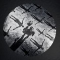 Muse_Absolution (XX Anniversary) (remastered) (Silver & Transparent Clear Vinyl).jpg
