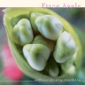 Fiona Apple_Extraordinary Machine.jpg